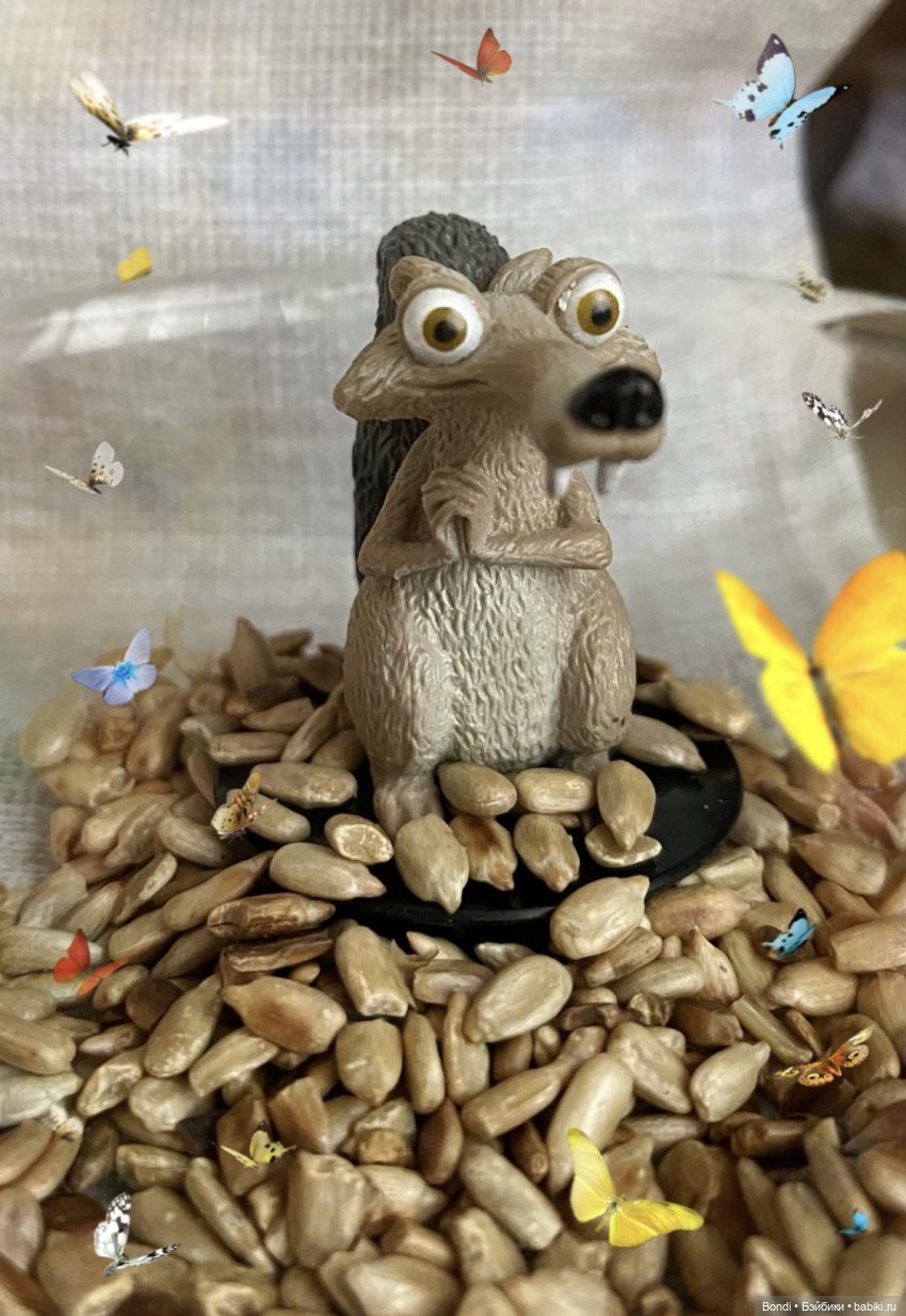 Просто покормили белок и новый житель (фото 9)