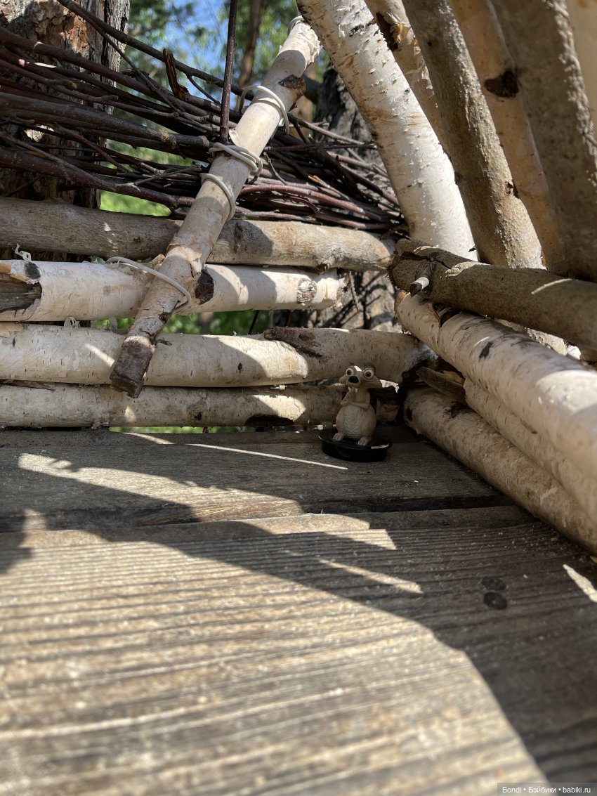 Просто покормили белок и новый житель (фото 5)