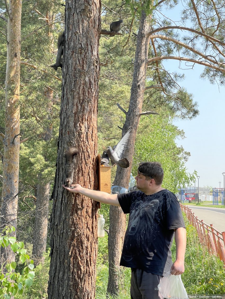 Просто покормили белок и новый житель (фото 6)