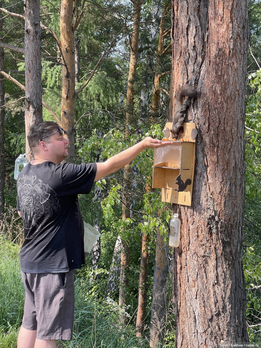 Просто покормили белок и новый житель