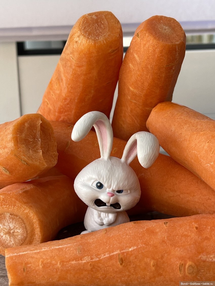 Снежок… 🥕 — Интересные игрушки и фигурки (разное): редкие (фото 4)