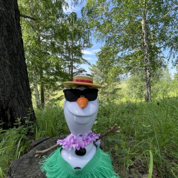 Олаф и лето!