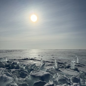 Франкенштейн на озере Байкал