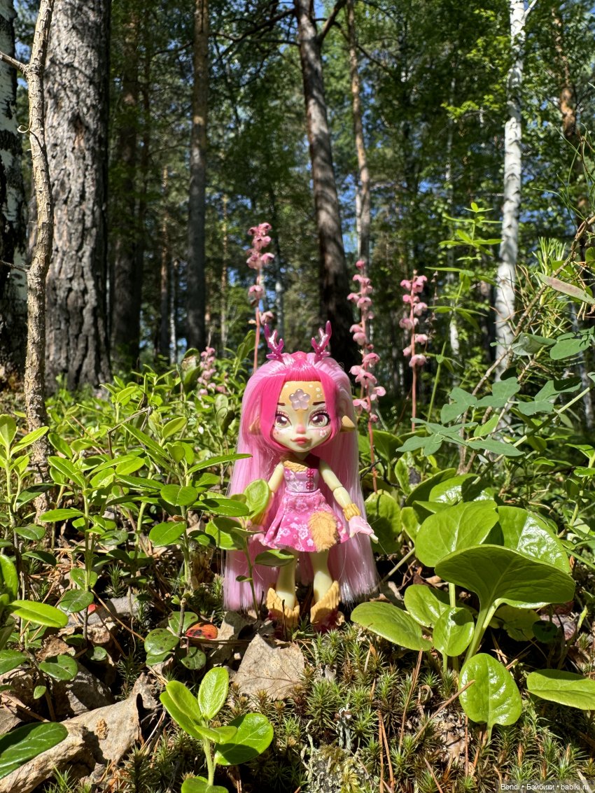 Дирли в своей среде — Игровые куклы разных производителей (Разное): редкие бренды (фото 5)