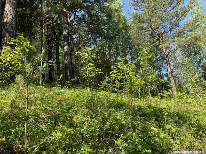 Дирли в своей среде — Игровые куклы разных производителей (Разное): редкие бренды (фото 4)