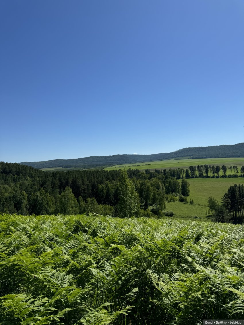 Дирли в своей среде — Игровые куклы разных производителей (Разное): редкие бренды (фото 7)