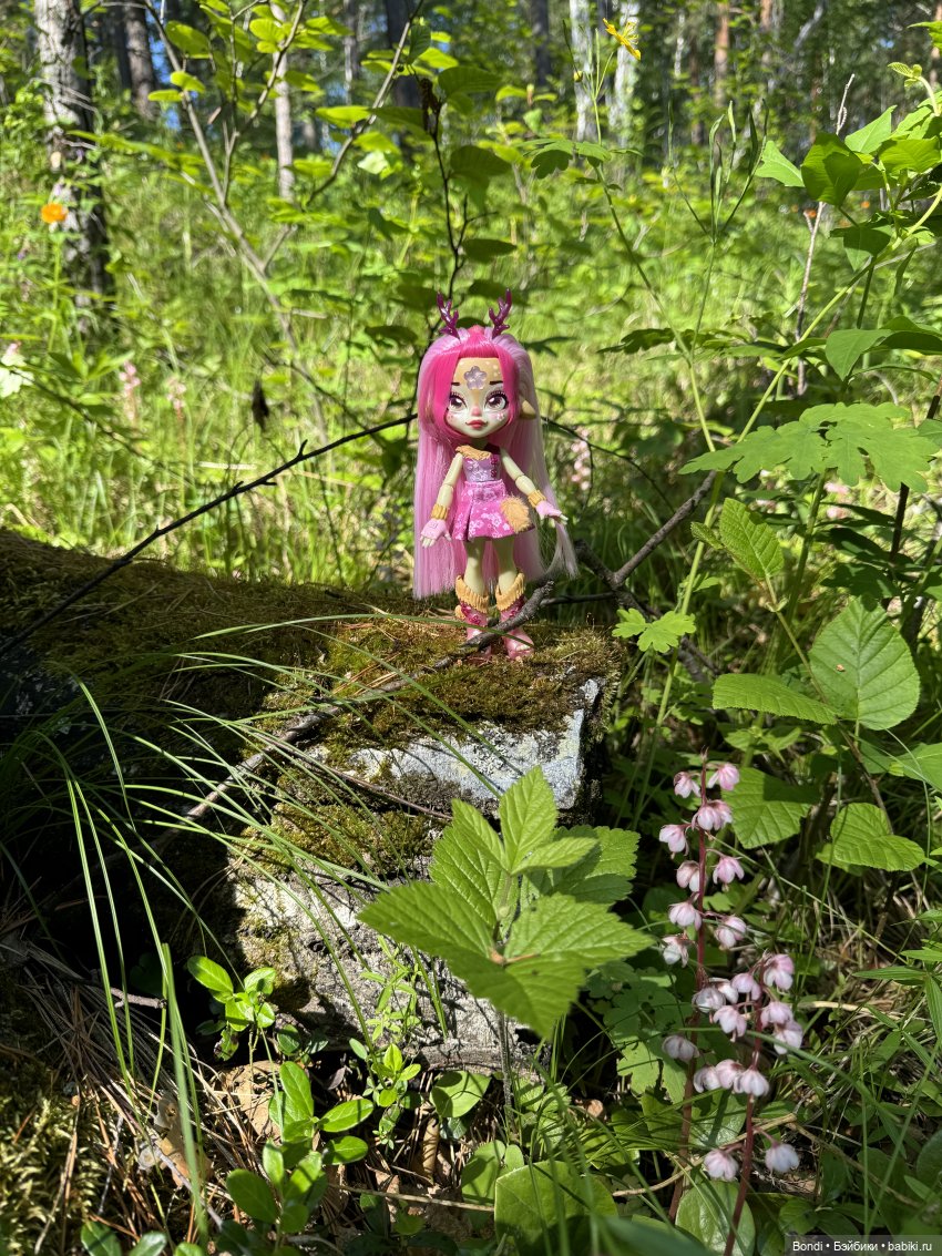 Дирли в своей среде — Игровые куклы разных производителей (Разное): редкие бренды (фото 3)