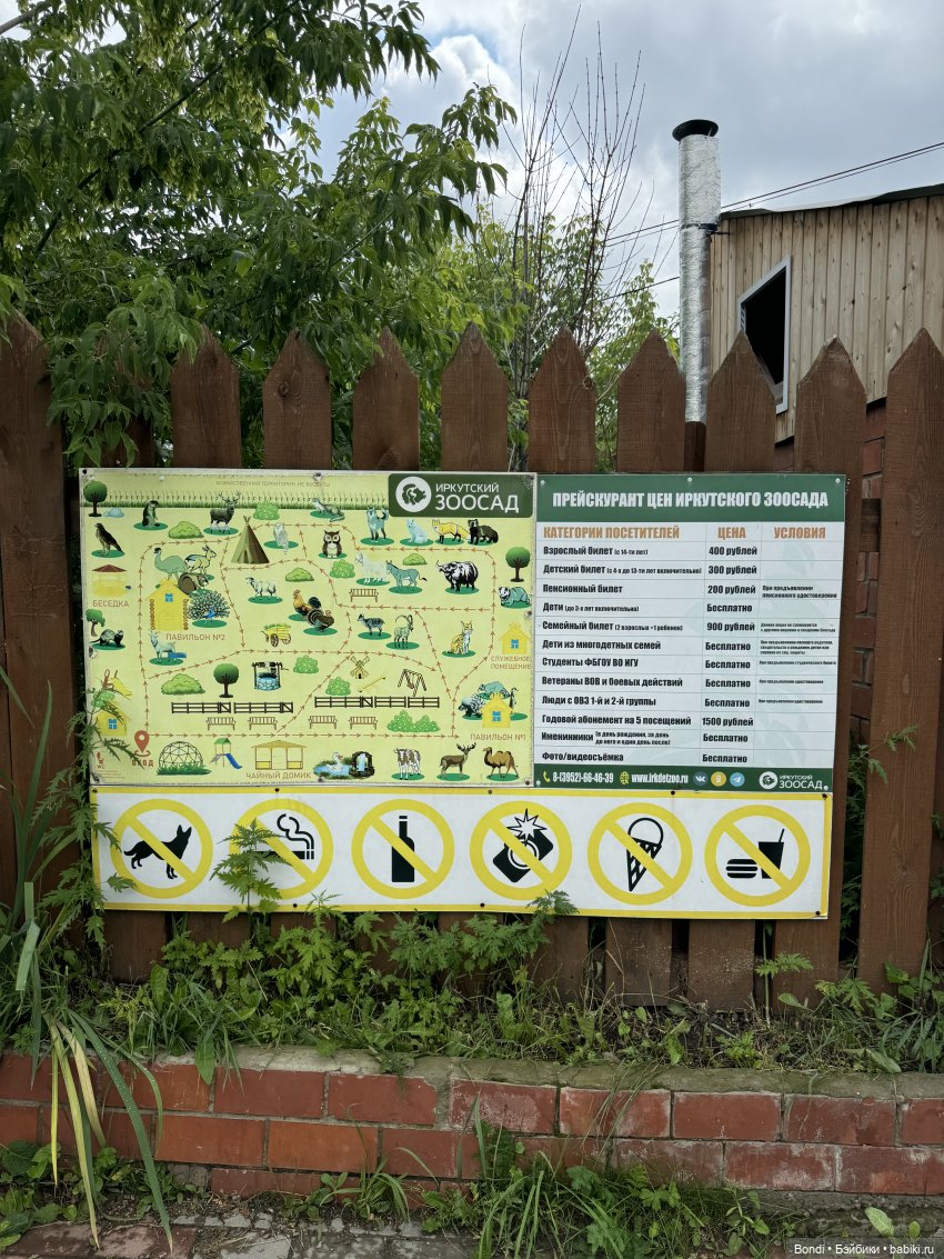 Ботанический сад, зоосад в Иркутске. 2 часть (фото 8)