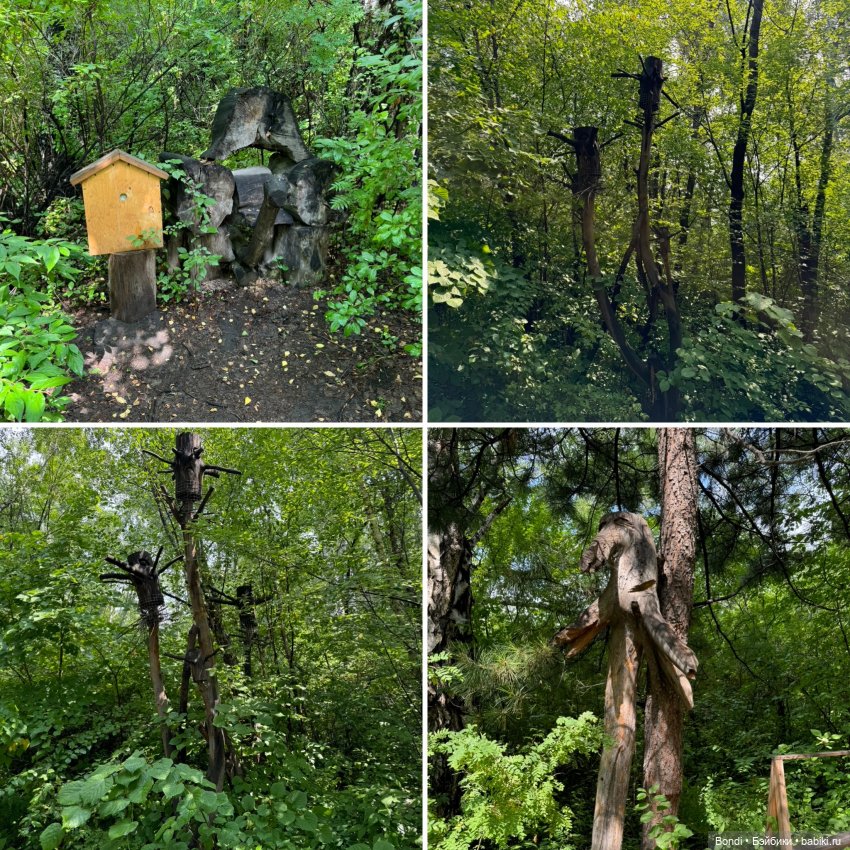 Ботанический сад, зоосад в Иркутске. 1 часть