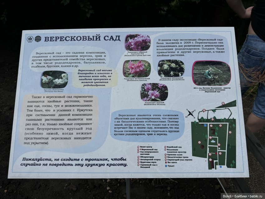 Ботанический сад, зоосад в Иркутске. 1 часть (фото 5)