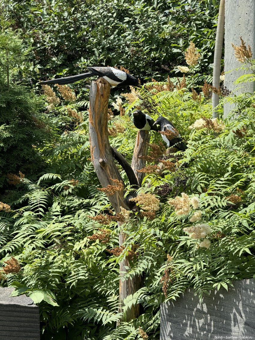 Ботанический сад, зоосад в Иркутске. 2 часть (фото 2)