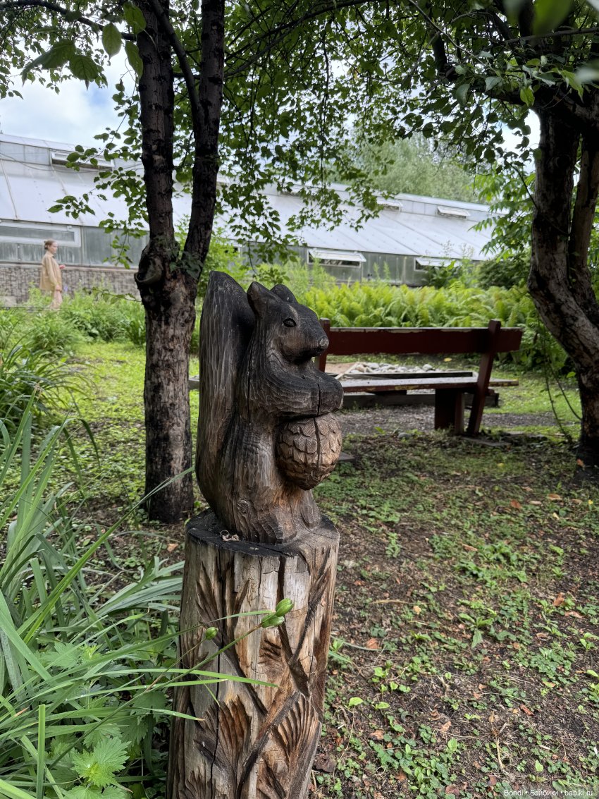 Ботанический сад, зоосад в Иркутске. 2 часть