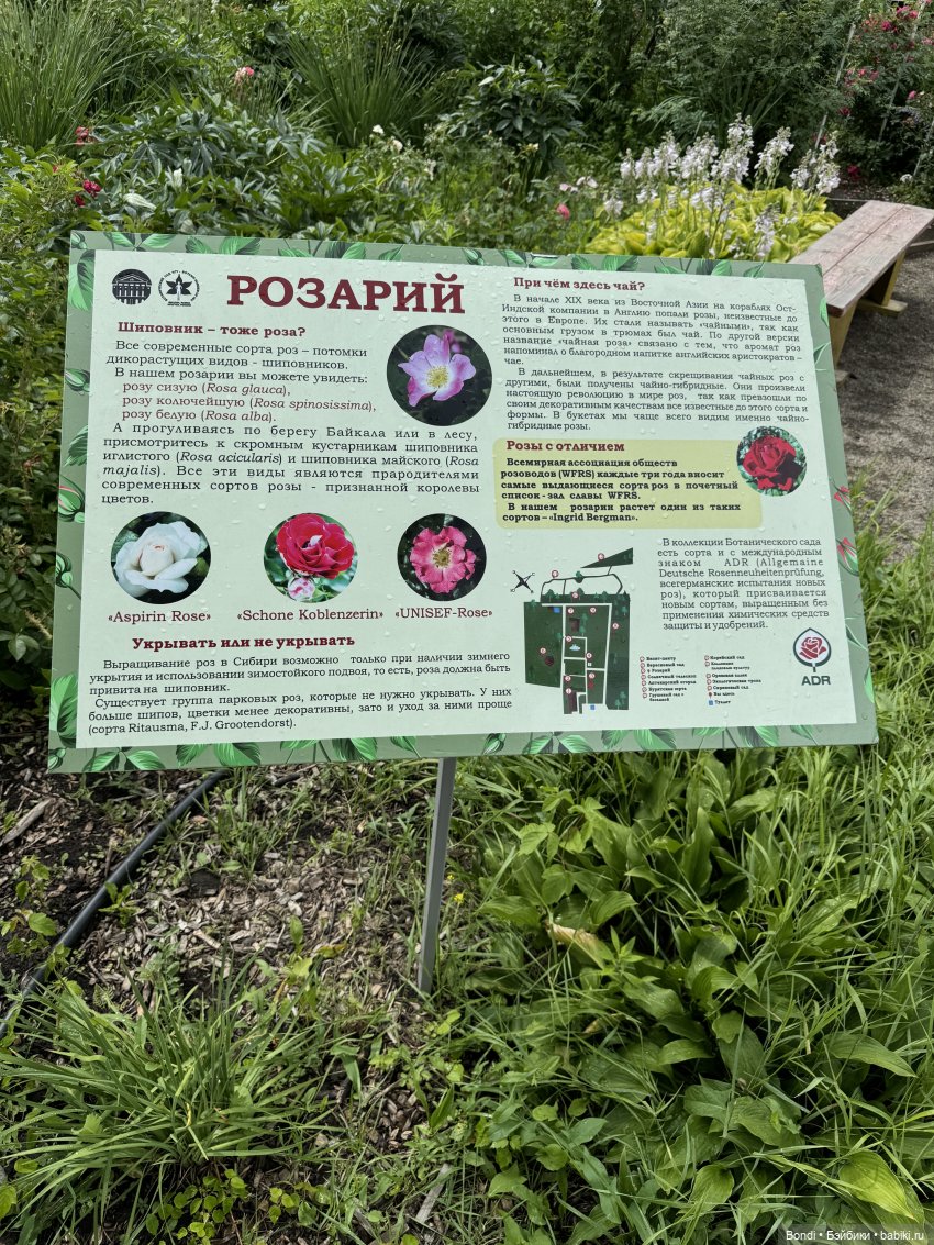 Ботанический сад, зоосад в Иркутске. 1 часть