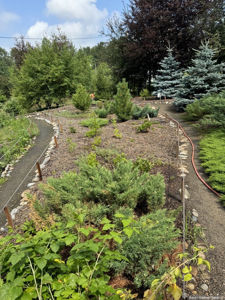 Ботанический сад, зоосад в Иркутске. 1 часть (фото 6)