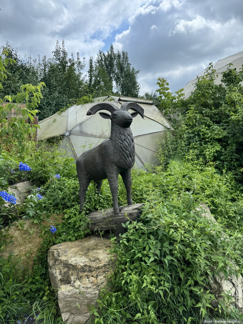 Ботанический сад, зоосад в Иркутске. 2 часть (фото 7)