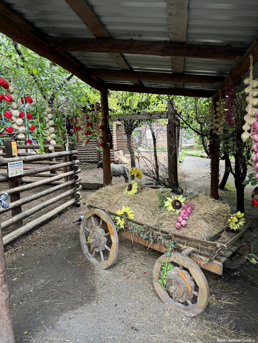 Ботанический сад, зоосад в Иркутске. 2 часть