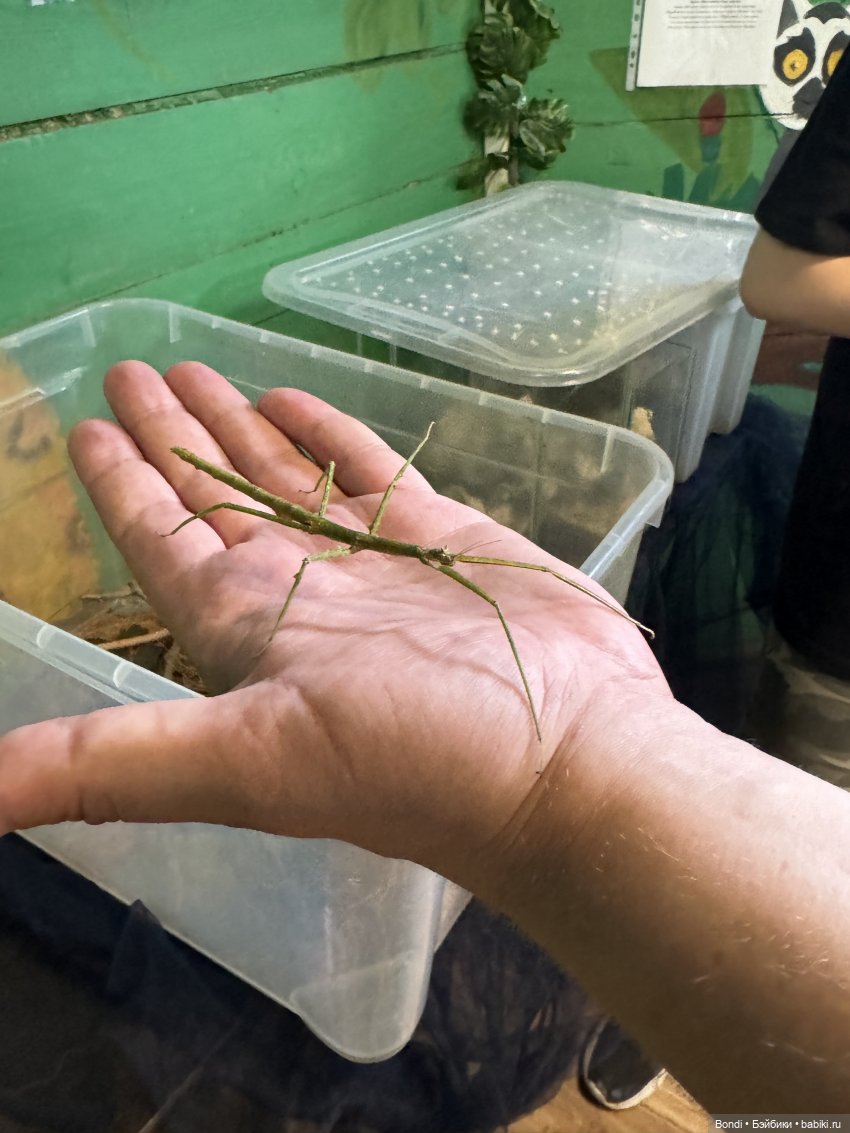 Ботанический сад, зоосад в Иркутске. 2 часть