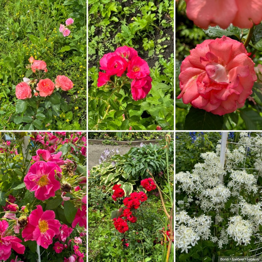 Ботанический сад, зоосад в Иркутске. 1 часть