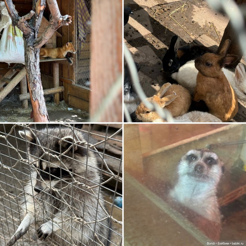 Ботанический сад, зоосад в Иркутске. 2 часть