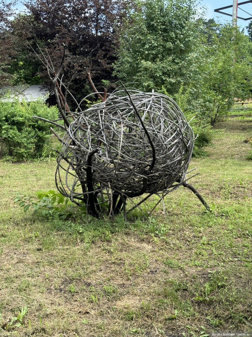 Ботанический сад, зоосад в Иркутске. 1 часть (фото 9)