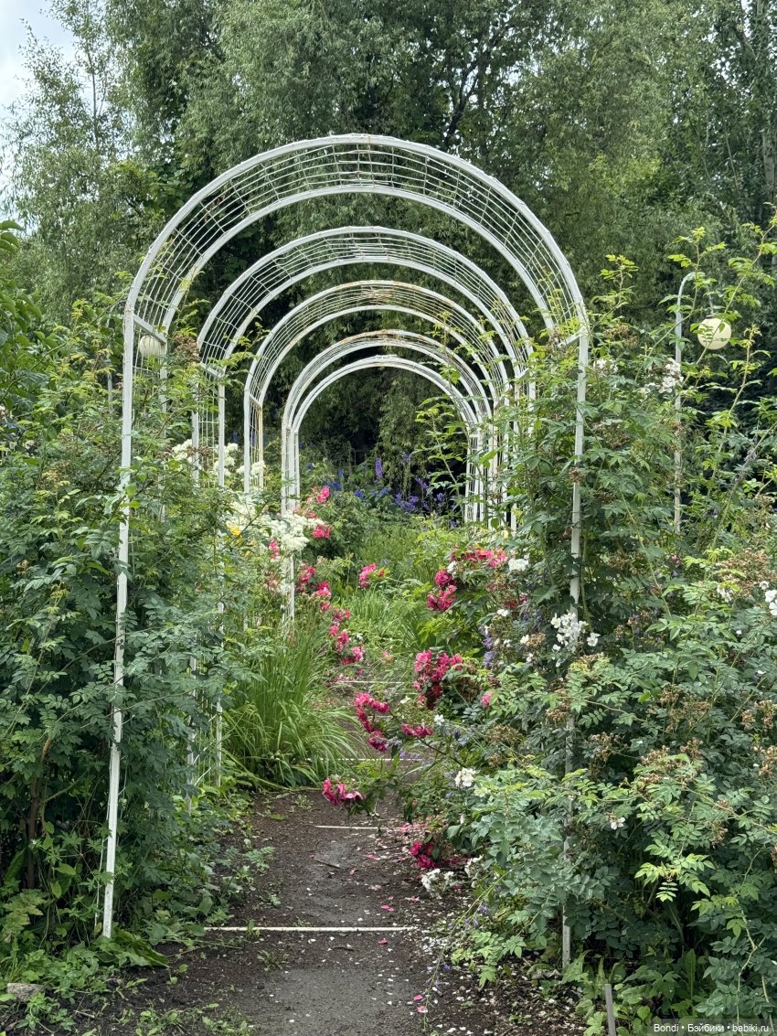 Ботанический сад, зоосад в Иркутске. 1 часть