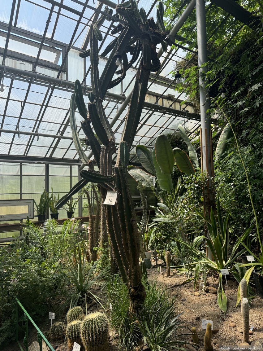 Ботанический сад, зоосад в Иркутске. 2 часть (фото 4)