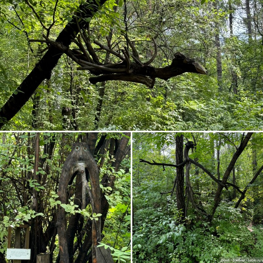 Ботанический сад, зоосад в Иркутске. 1 часть