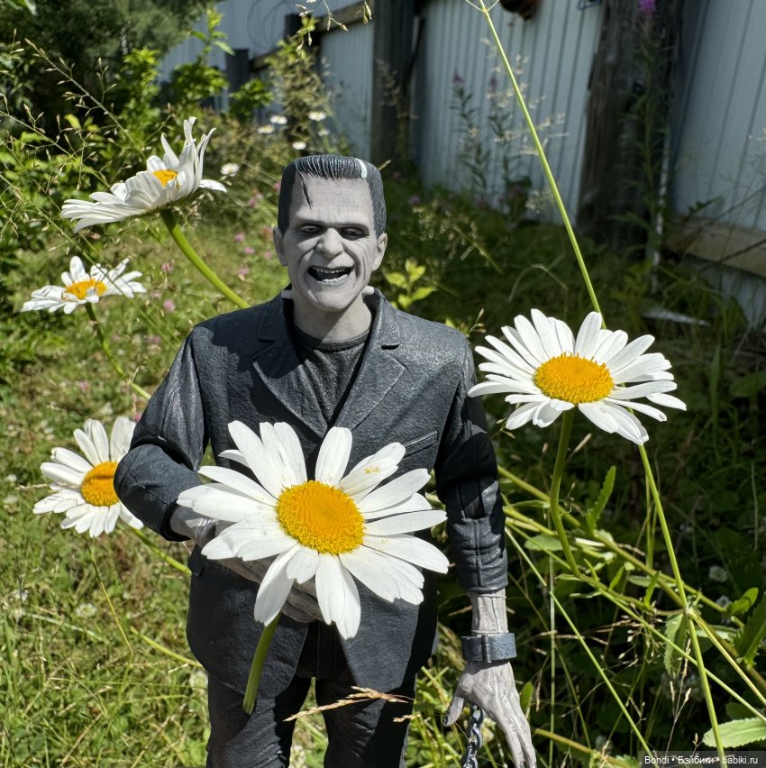 Frankenstein и ромашки — Коллекционные экшн (фото 5)