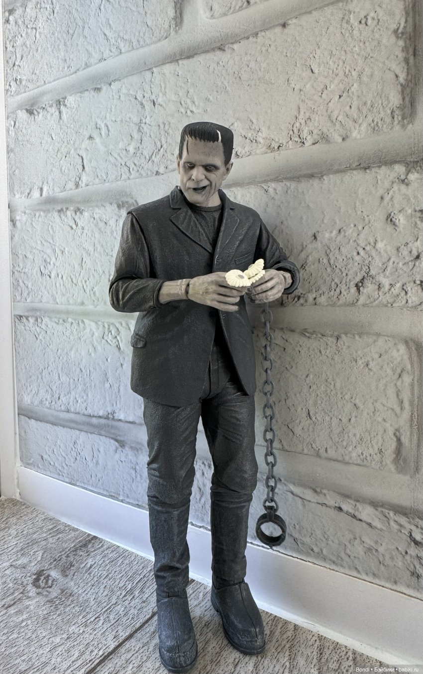 Frankenstein и ромашки — Коллекционные экшн (фото 3)