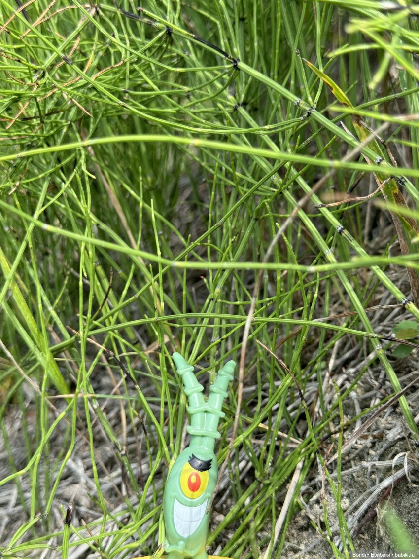 Один день с фигурками на реке Китой (фото 7)