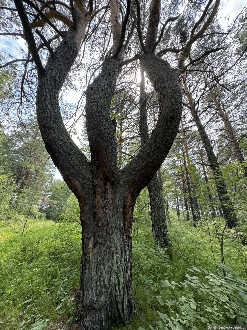 Один день с фигурками на реке Китой (фото 2)