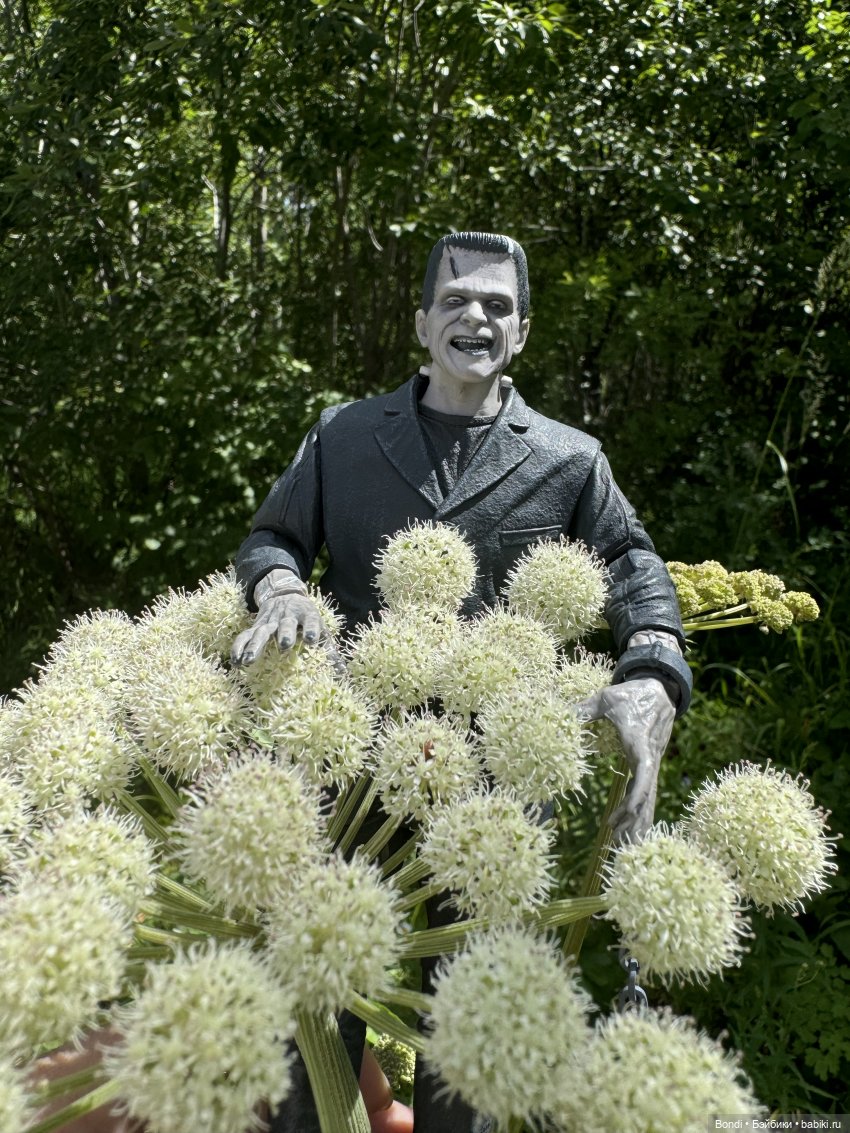 Frankenstein и ромашки | Бэйбики Frankenstein и ромашки — Коллекционные экшн (фото 6)