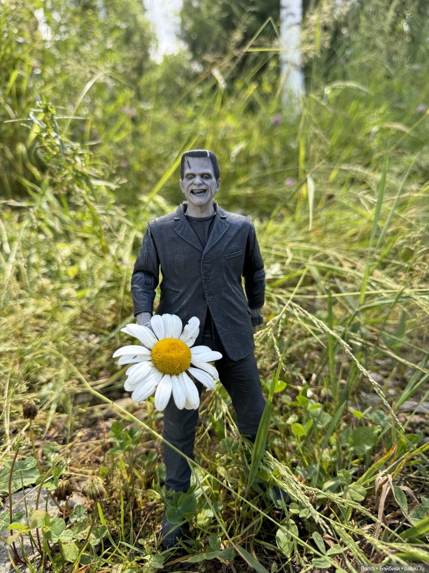 Frankenstein и ромашки — Коллекционные экшн (фото 8)