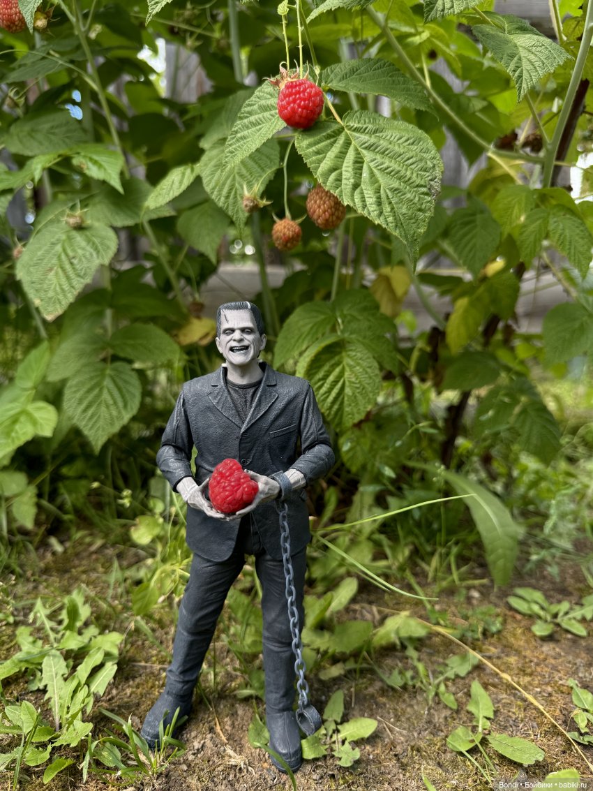 Frankenstein и ромашки — Коллекционные экшн (фото 7)