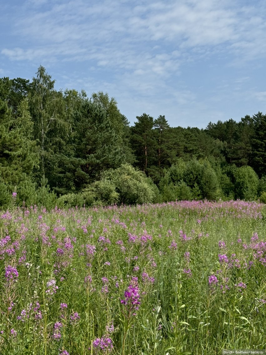 Один день с фигурками на реке Китой (фото 10)