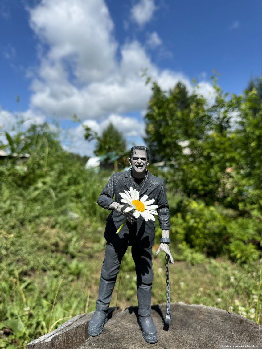 Frankenstein и ромашки | Бэйбики Frankenstein и ромашки — Коллекционные экшн (фото 4)