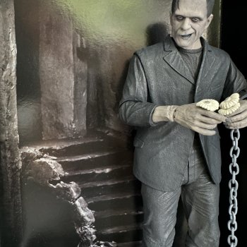 Frankenstein и ромашки