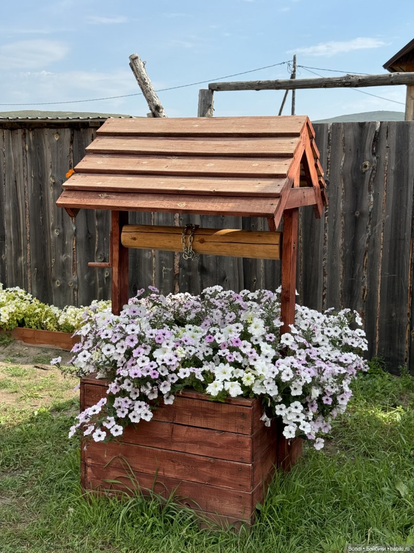 Осторожно - страусы — Туризм и путешествия: фотоотчеты из поездок