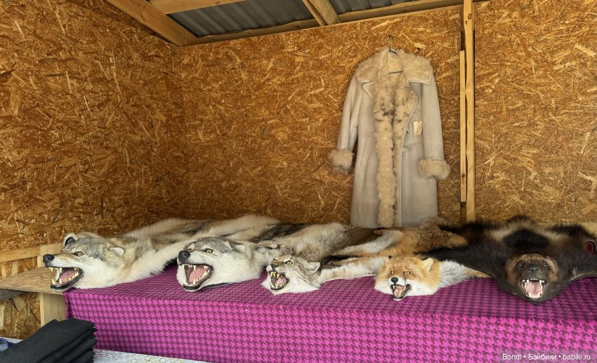 Байкал. Фото-природы — Туризм и путешествия: фотоотчеты из поездок