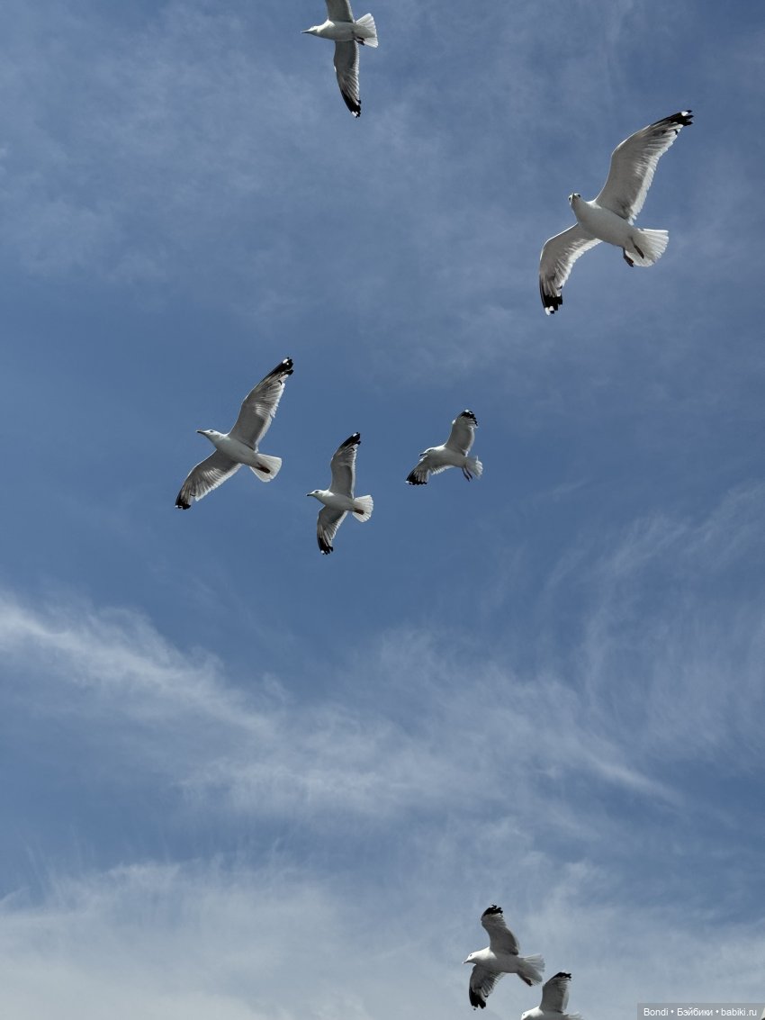 Байкал. Фото-природы — Туризм и путешествия: фотоотчеты из поездок (фото 5)