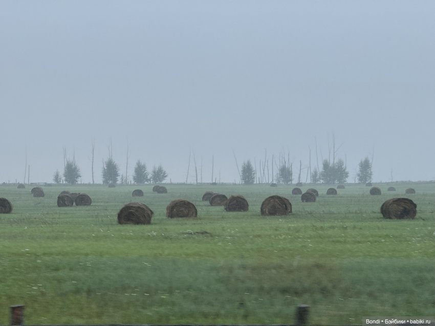 Байкал. Фото-природы — Туризм и путешествия: фотоотчеты из поездок (фото 2)
