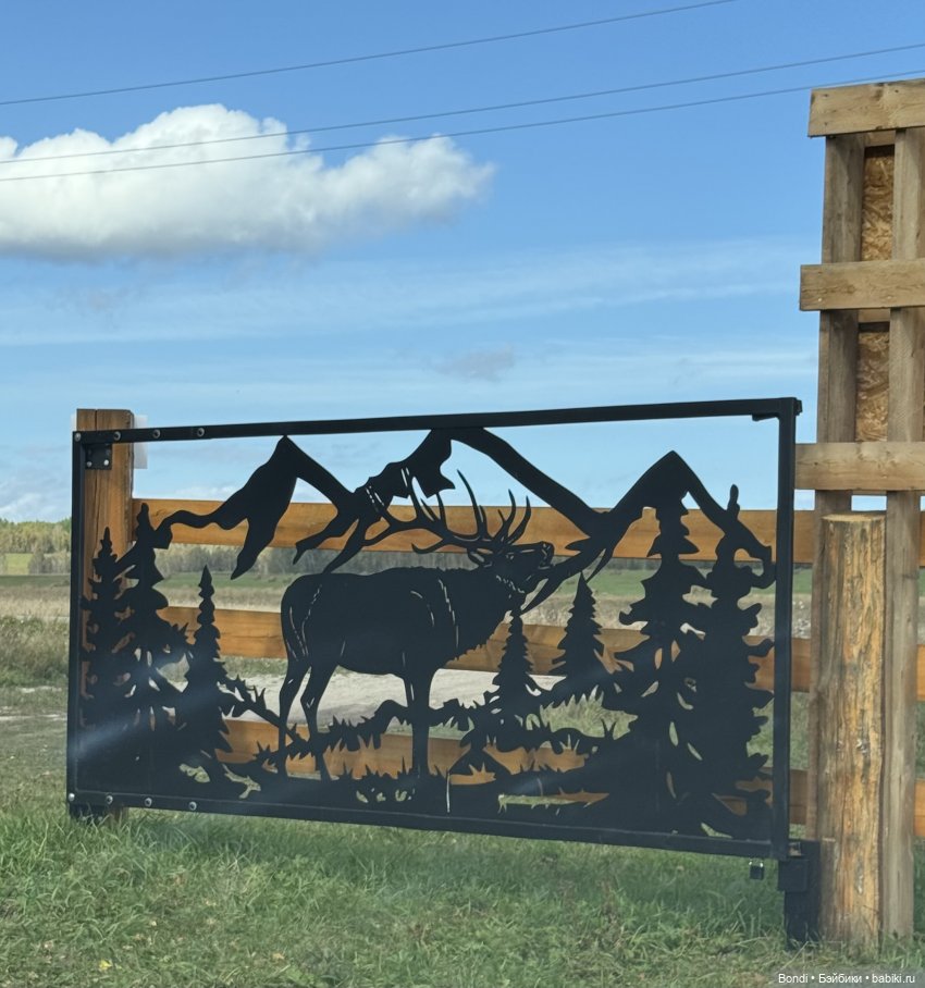 Ферма Маралов — В мире животных: смешные фото питомцев и зверей (фото 2)