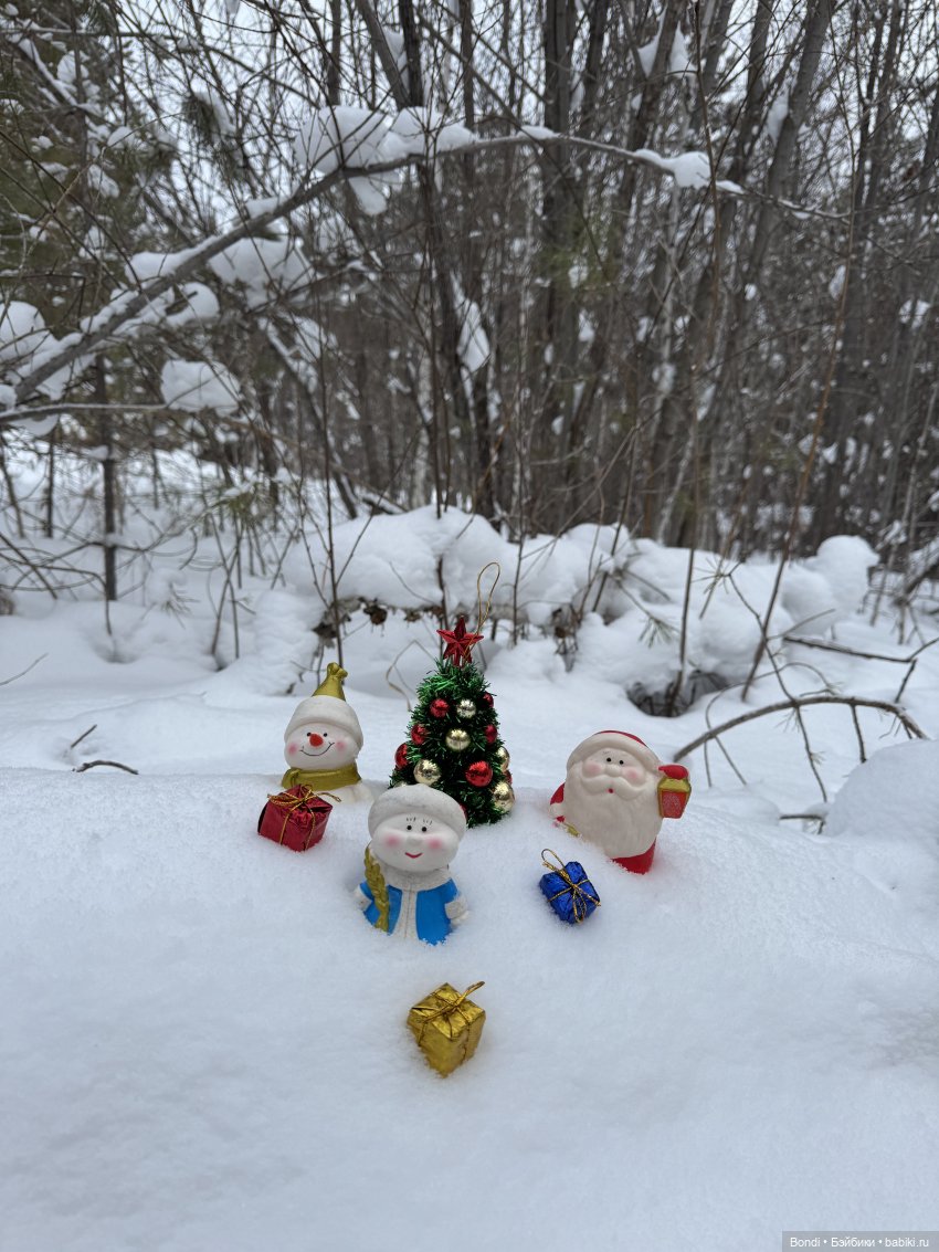 Дед Мороз, Снегурочка и ☃️ в зимнем лесу (фото 6)
