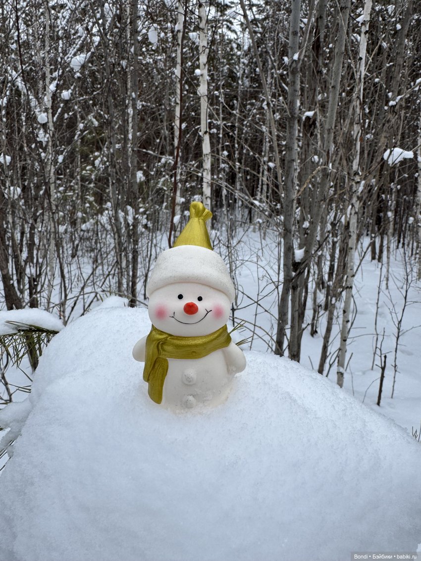 Дед Мороз, Снегурочка и ☃️ в зимнем лесу