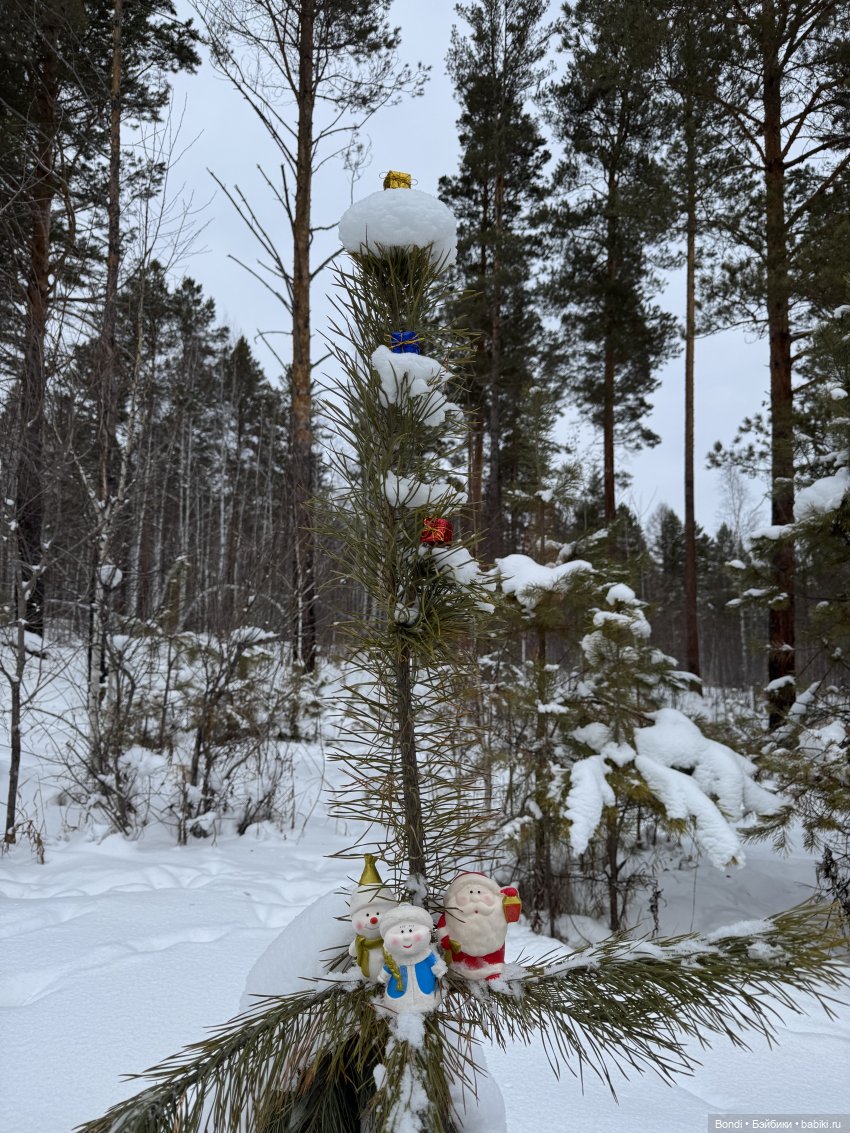 Дед Мороз, Снегурочка и ☃️ в зимнем лесу (фото 5)