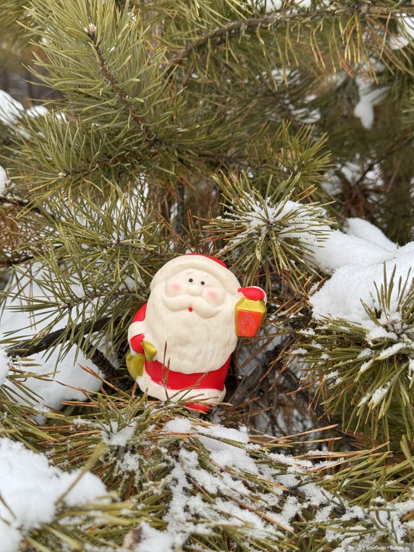 Дед Мороз, Снегурочка и ☃️ в зимнем лесу (фото 2)