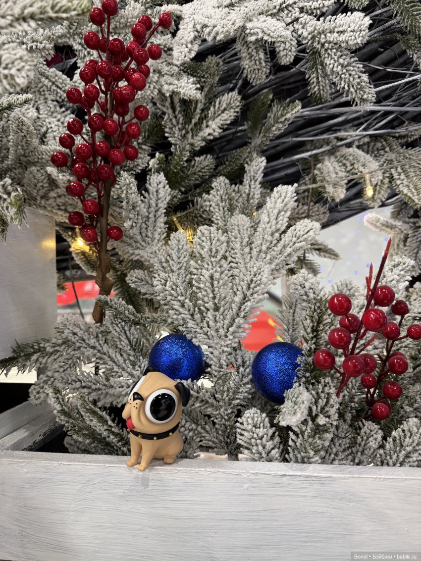 НГ фото с моими хотелками декабря(1 часть) (фото 8)