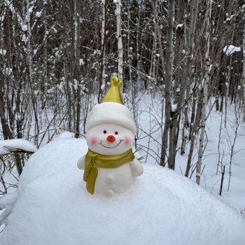 Дед Мороз, Снегурочка и  ☃️ в зимнем лесу.