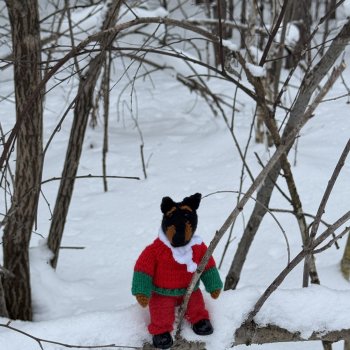 Прогулка с новым жителем (подарочек от друга-форумчанки)
