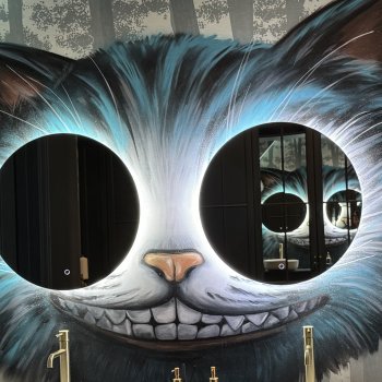 Зазеркалье. Любопытное место посетили вместе с Костиком.